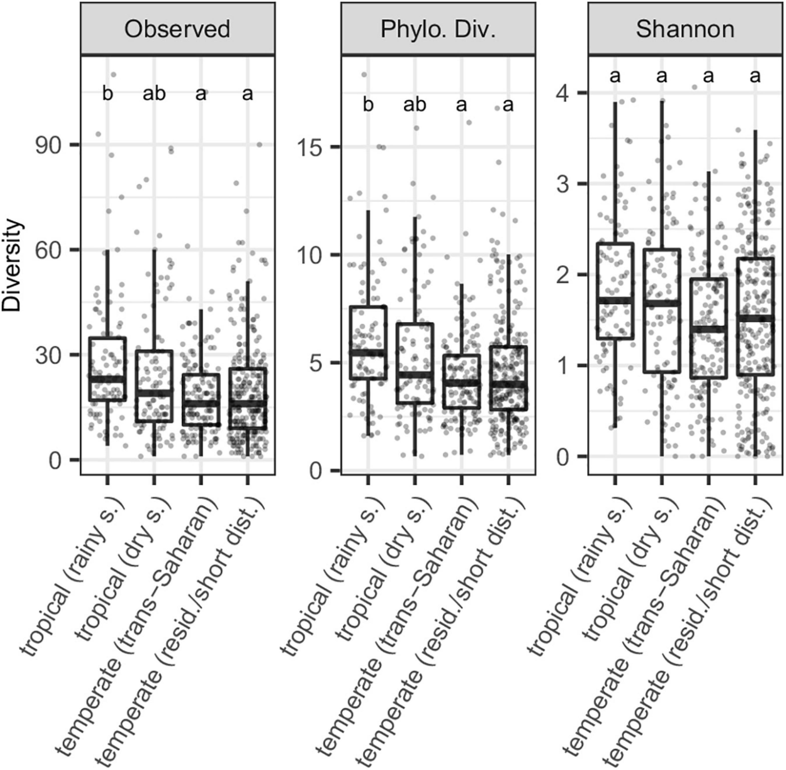 Gut microbiota variation between climatic zones and due to migration strategy in passerine birds